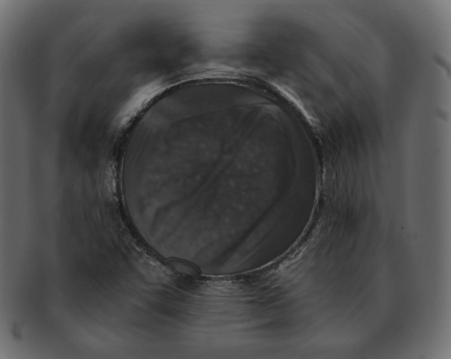 X0000091921455200710031029