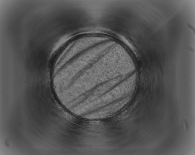 X0000091921456200710031029