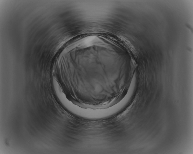 X0000091921457200710031029