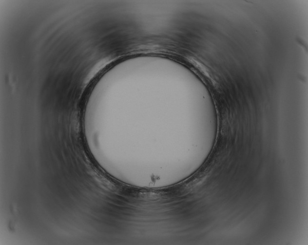X0000091921458200710031029