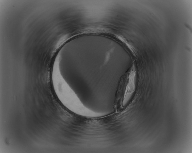 X0000091921459200710031029