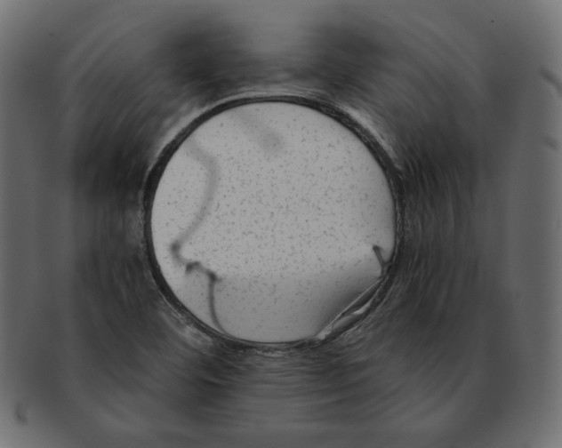 X0000091921460200710031029