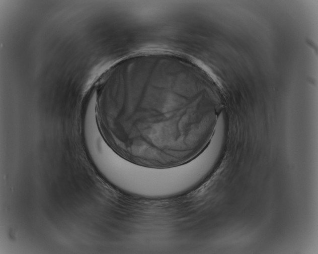 X0000091921461200710031029