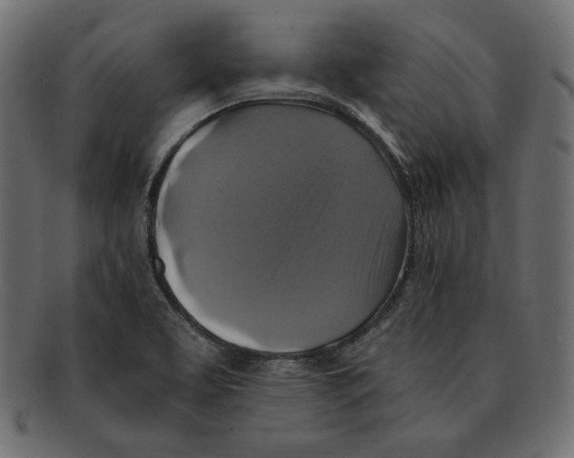 X0000091921463200710031029