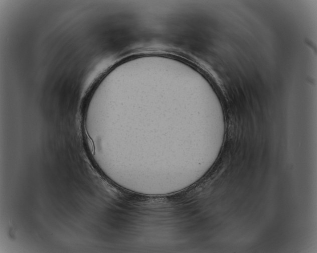 X0000091921464200710031029