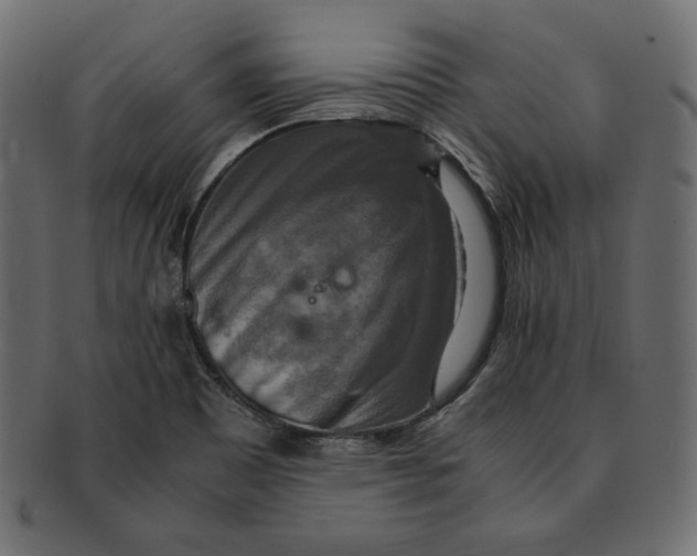 X0000091921465200710031029