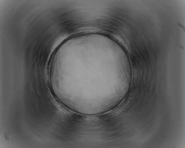 X0000091921466200710031029