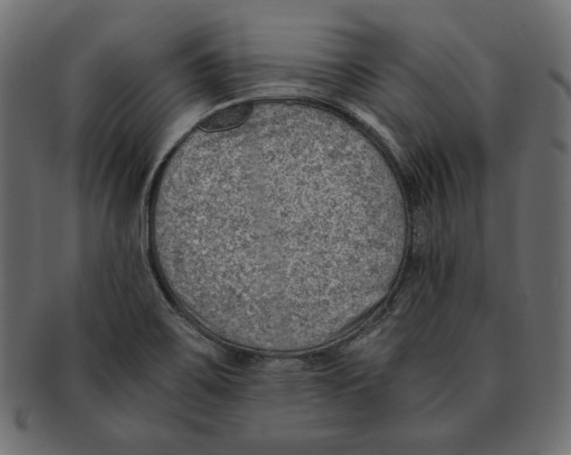 X0000091921467200710031029