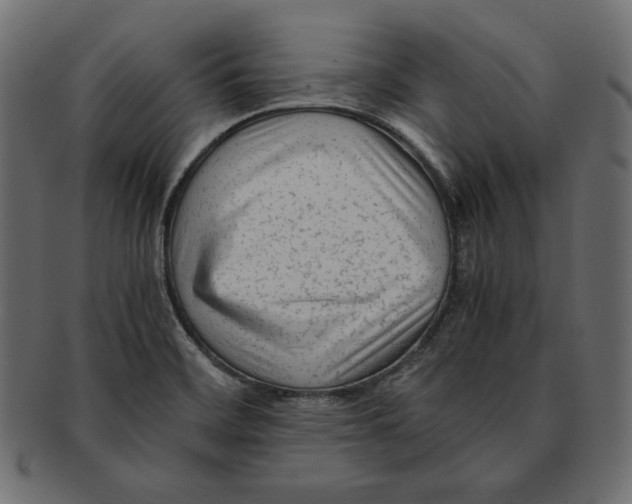 X0000091921468200710031029