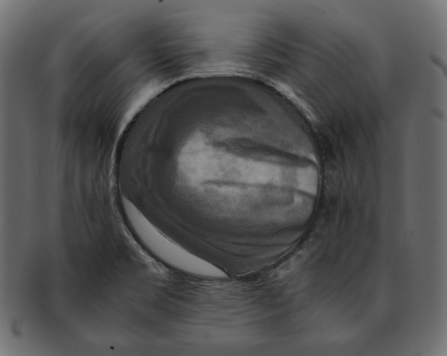 X0000091921469200710031029