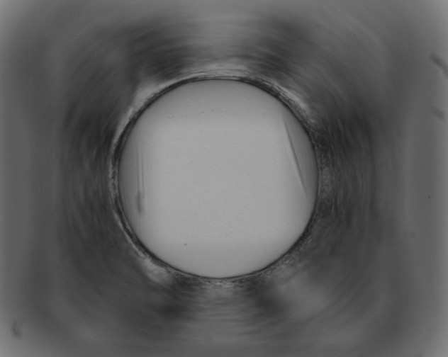 X0000091921470200710031029
