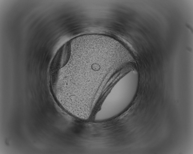 X0000091921471200710031029