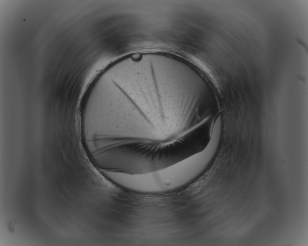 X0000091921472200710031029