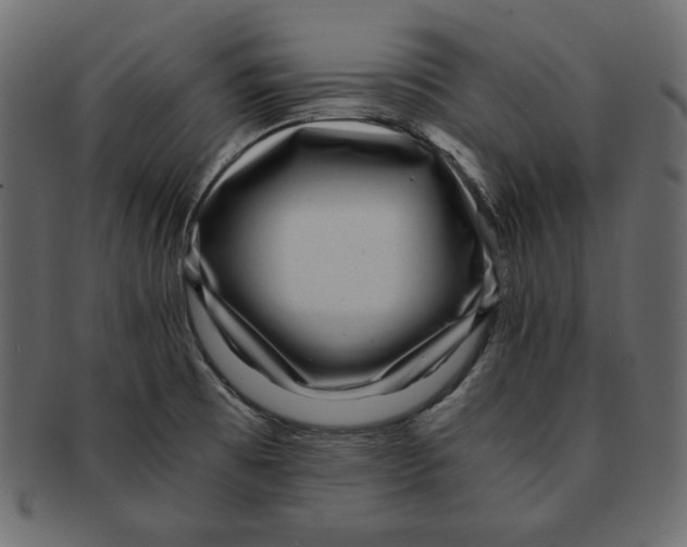X0000091921473200710031029