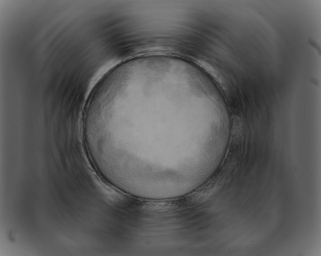 X0000091921474200710031029
