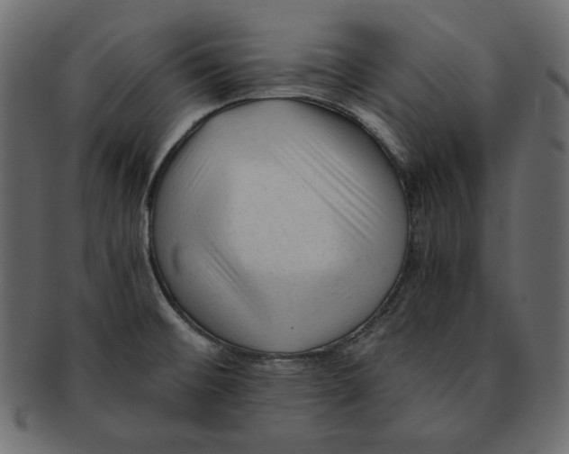 X0000091921476200710031029