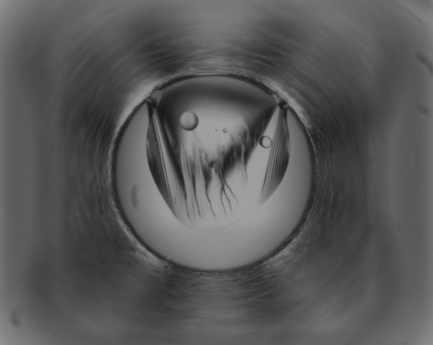 X0000091921477200710031029