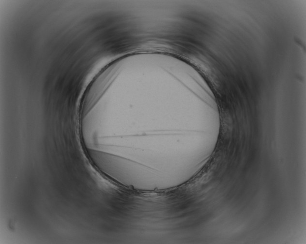 X0000091921478200710031029