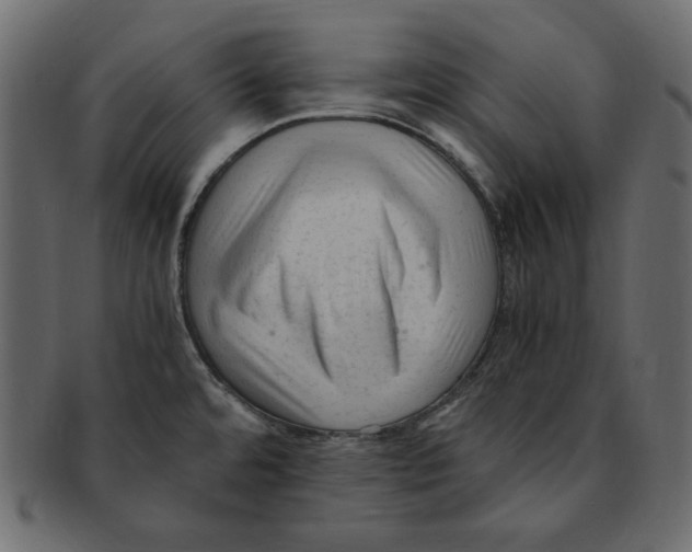 X0000091921480200710031029