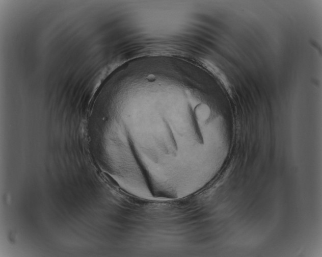 X0000091921481200710031029