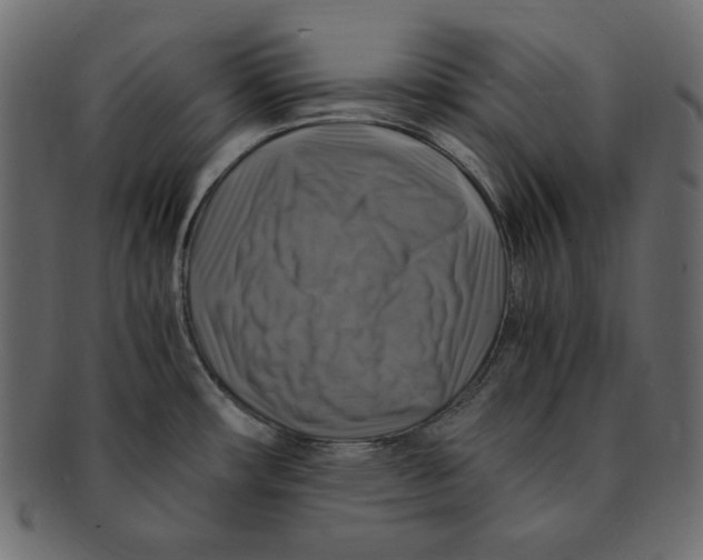 X0000091921482200710031029