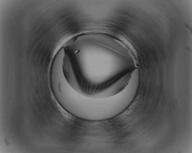 X0000091921485200710031029