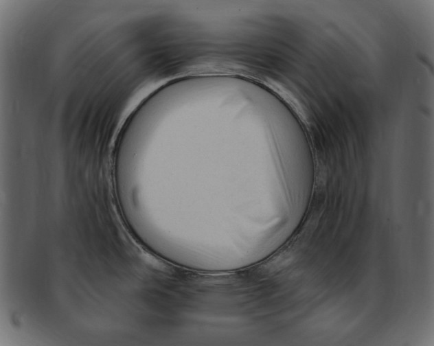 X0000091921486200710031029