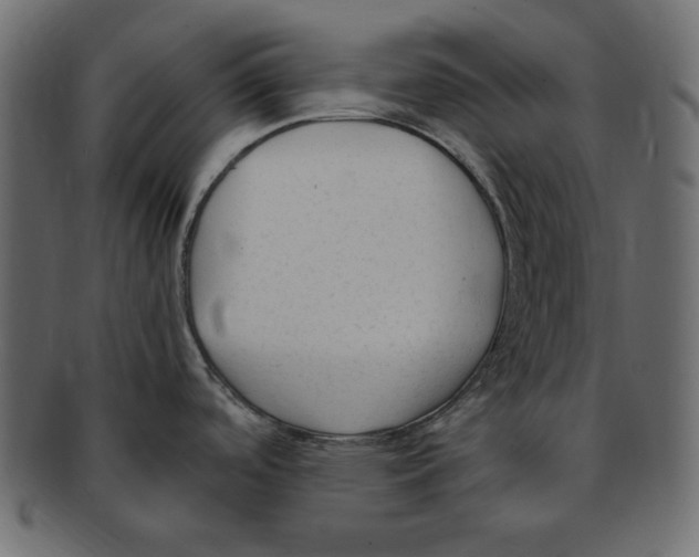 X0000091921488200710031029