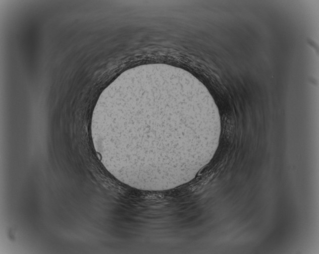 X0000091921489200710031028