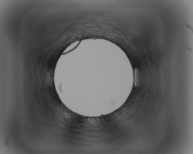 X0000091921491200710031028