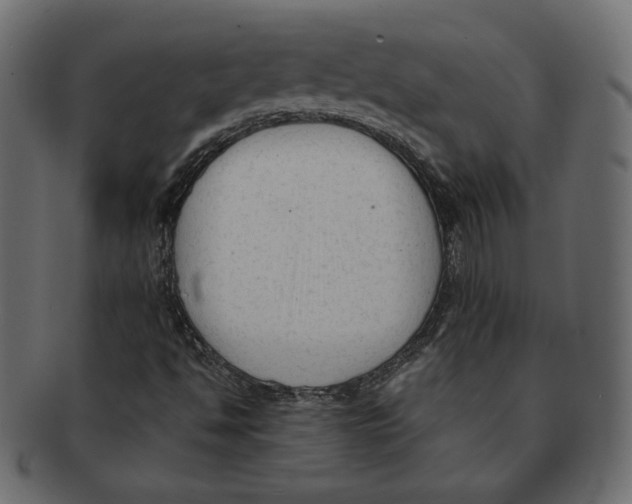 X0000091921494200710031028
