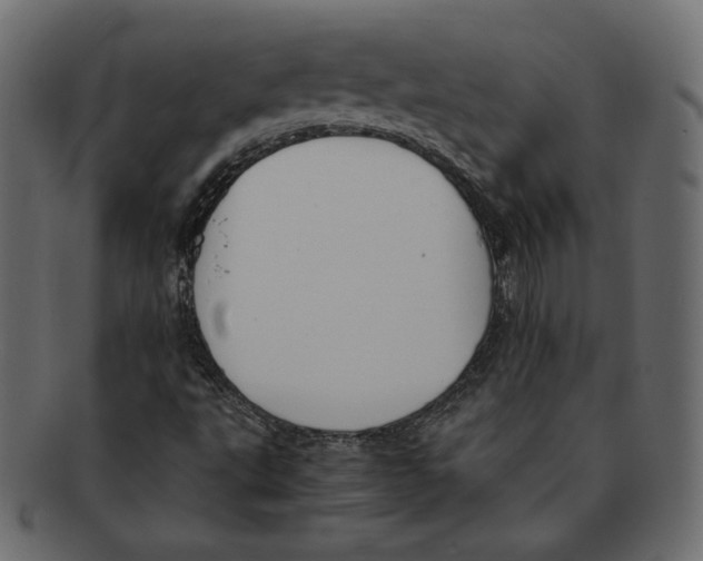 X0000091921495200710031028