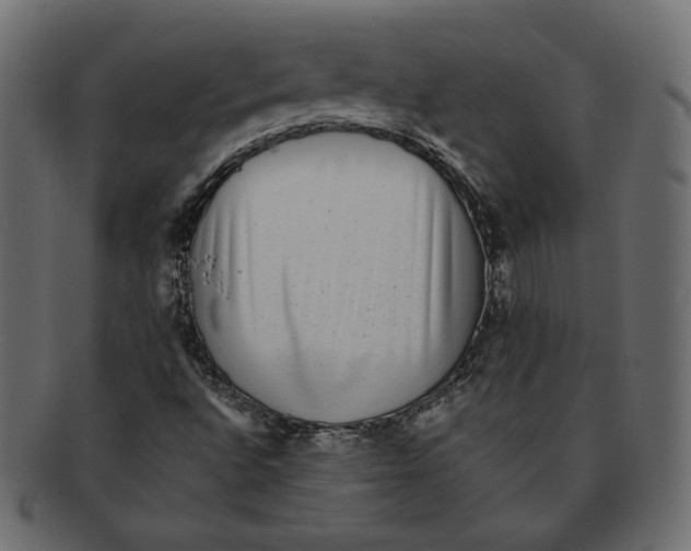 X0000091921496200710031028