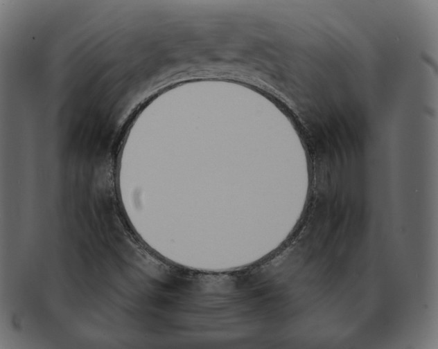 X0000091921498200710031028
