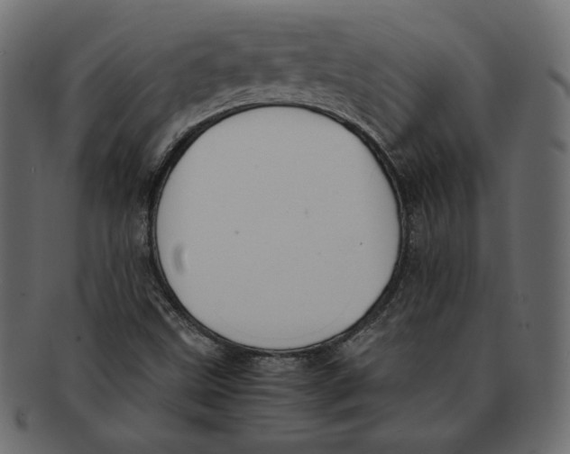 X0000091921499200710031028
