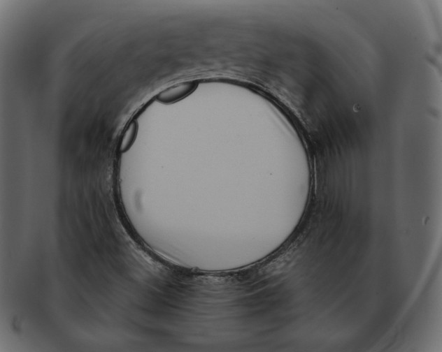 X0000091921500200710031028