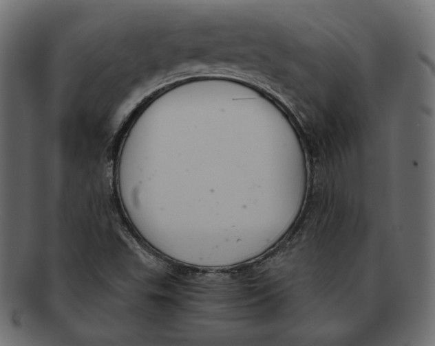 X0000091921503200710031028