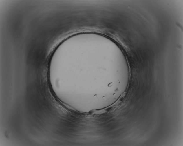 X0000091921504200710031028