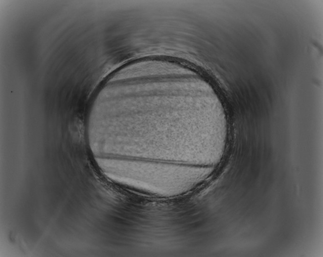 X0000091921505200710031028