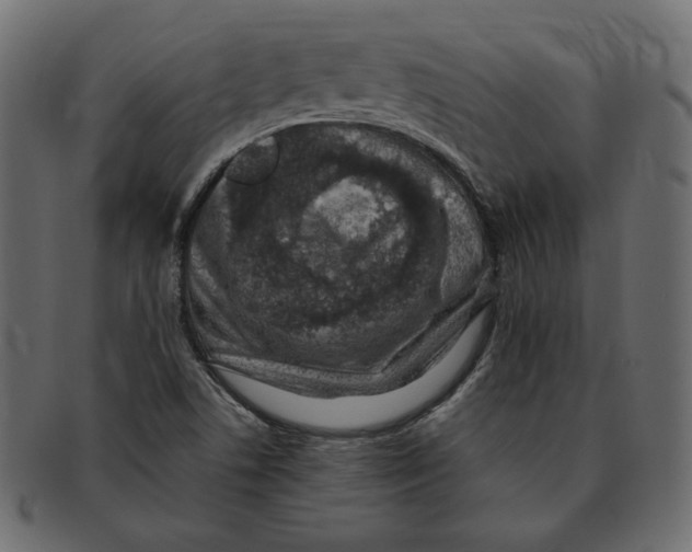 X0000091921506200710031028