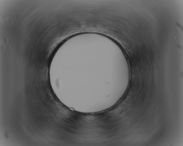X0000091921507200710031028