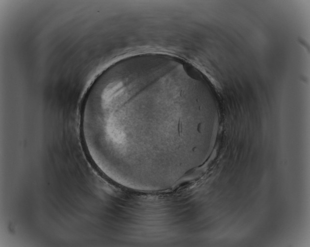 X0000091921508200710031028