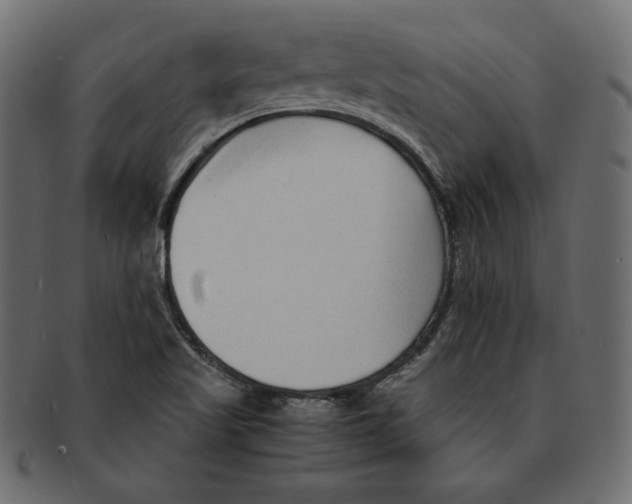 X0000091921509200710031028