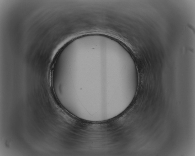 X0000091921510200710031028
