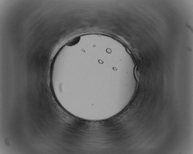 X0000091921512200710031028
