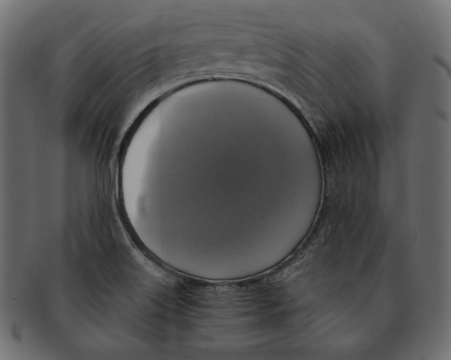 X0000091921515200710031029