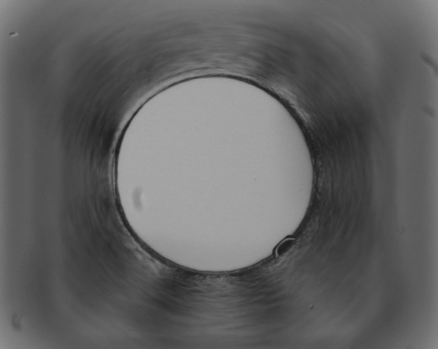 X0000091921516200710031029