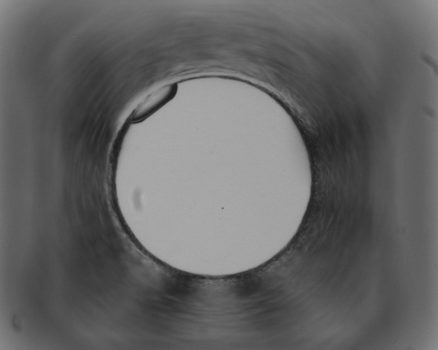 X0000091921518200710031029