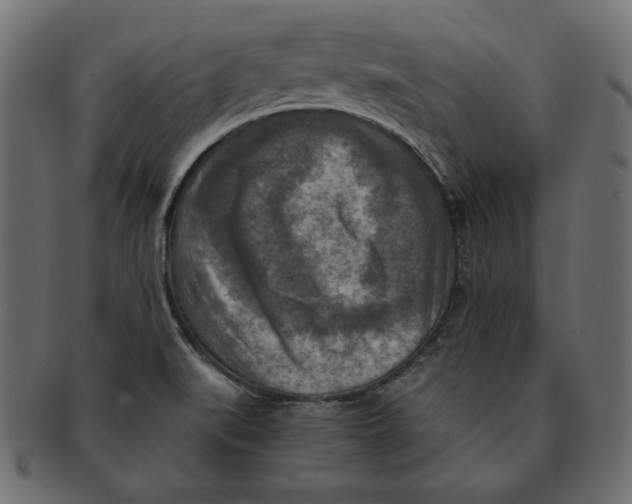 X0000091921519200710031029