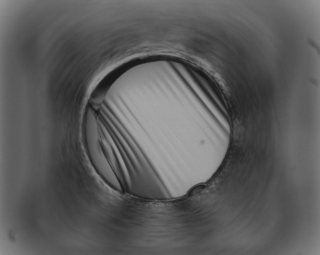 X0000091921520200710031029